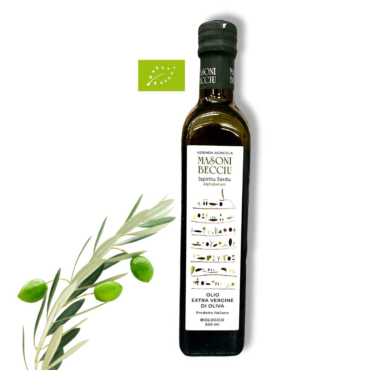Masoni Becciu - Extra Vergine BIO-Olivenöl aus Sardinien - Sapori Sardi